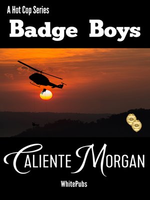 cover image of Badge Boys